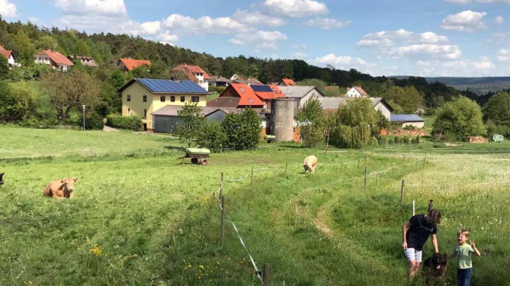 Ferienwohnungen Elsbacher Hof photo 2