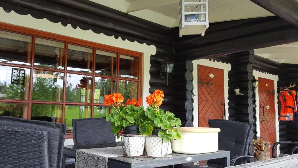 Hilupilttuu photo 1