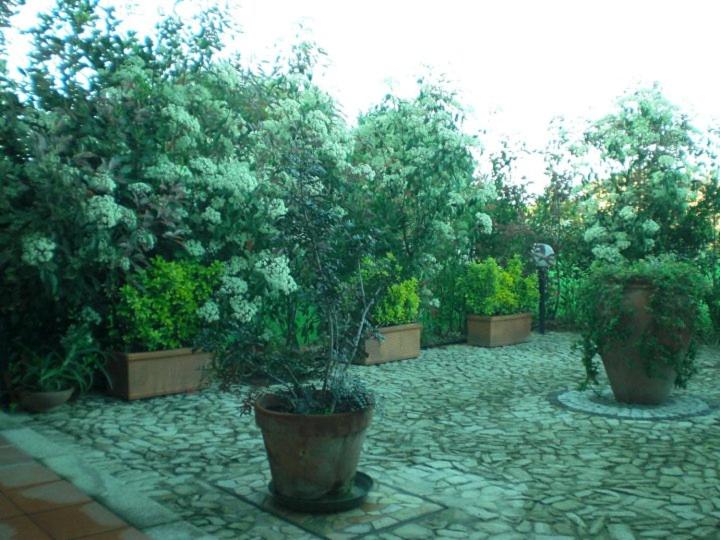 Villa Raffaello photo 3