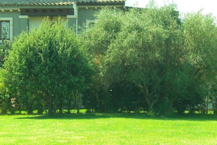 Villa Raffaello photo 4