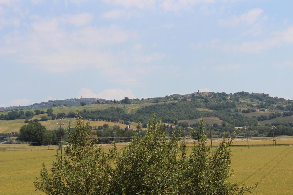 Ai Prati Vecchi photo 4