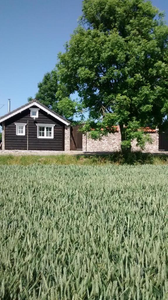Dijkwoning Cadzand photo 3