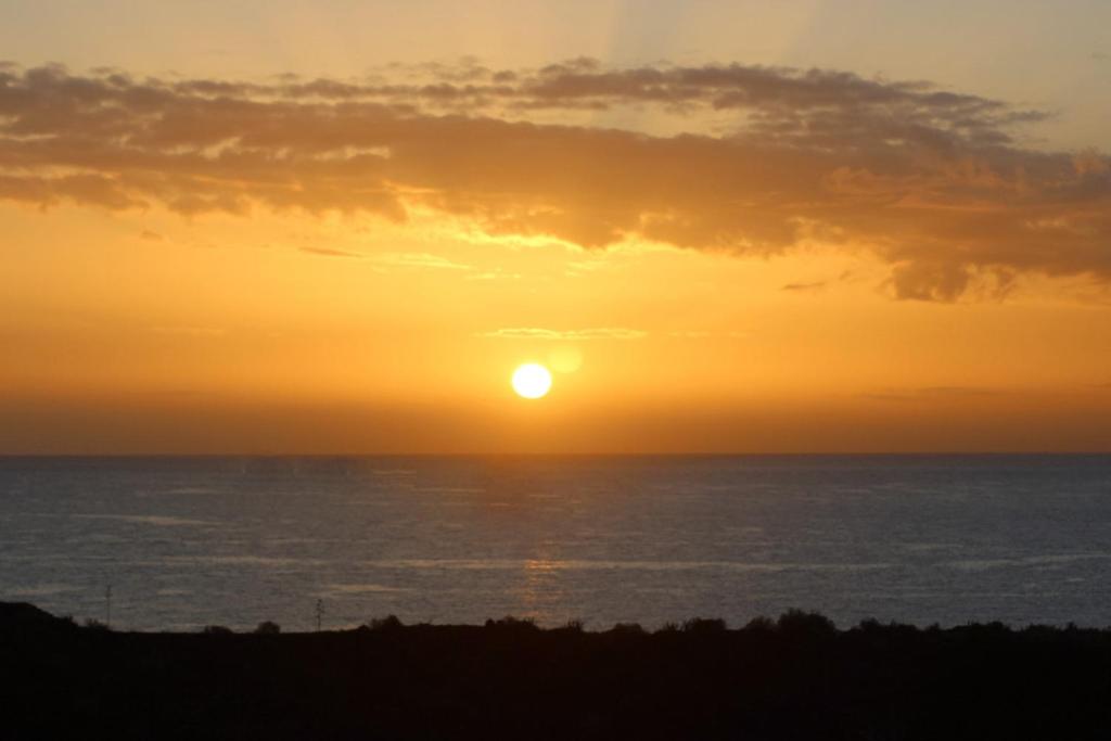 Apt El Perenquen photo 4