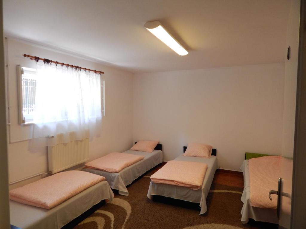 Номер (Односпальная кровать в общем номере с 4 кроватями), Hostel Madeira