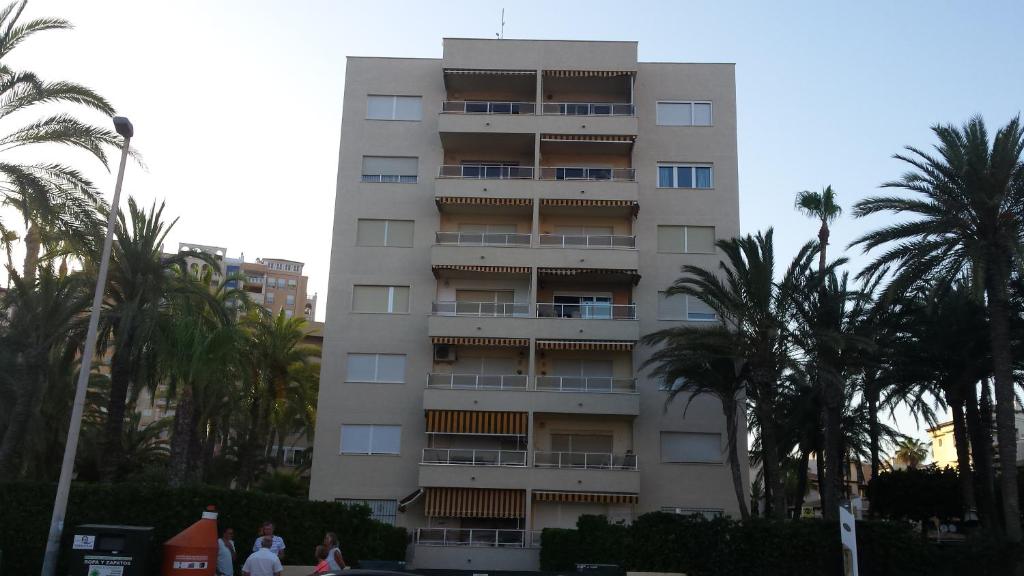Palmeral de Torrevieja photo 1