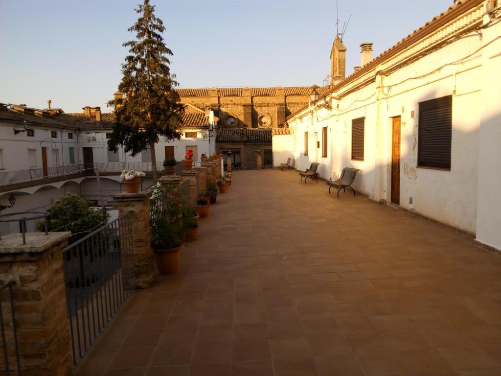 Merola photo 3