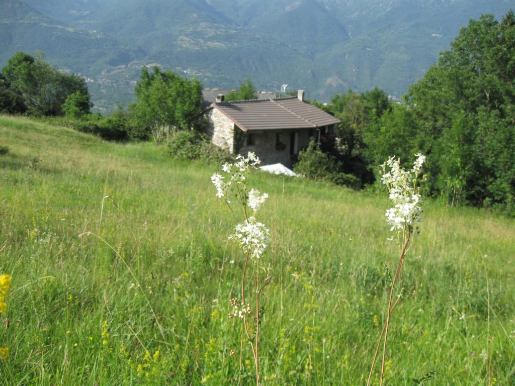 B&B Baita Evelina photo 4