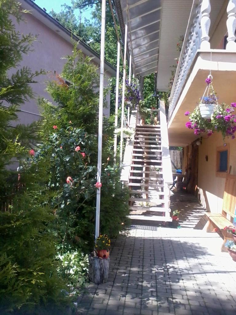 Guest house Fortuna photo 2