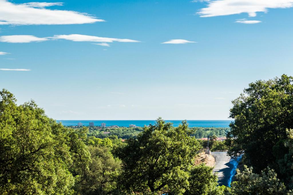 Domaine Des Mimosas photo 1
