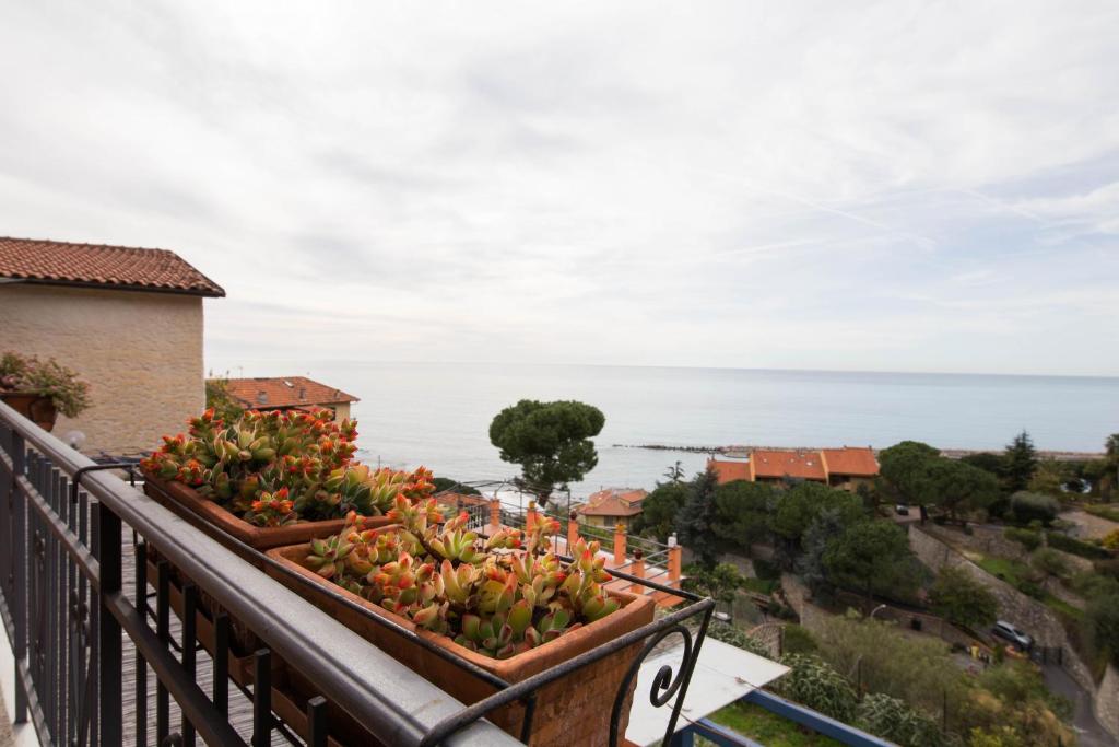B&B La Mimosa del Golfo photo 3