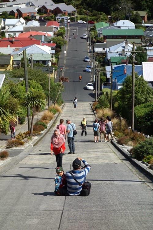 Sleep on the Steepest Street in the World! photo 4