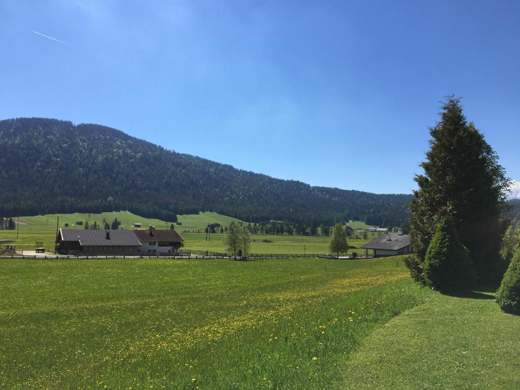 Pension Margret photo 3