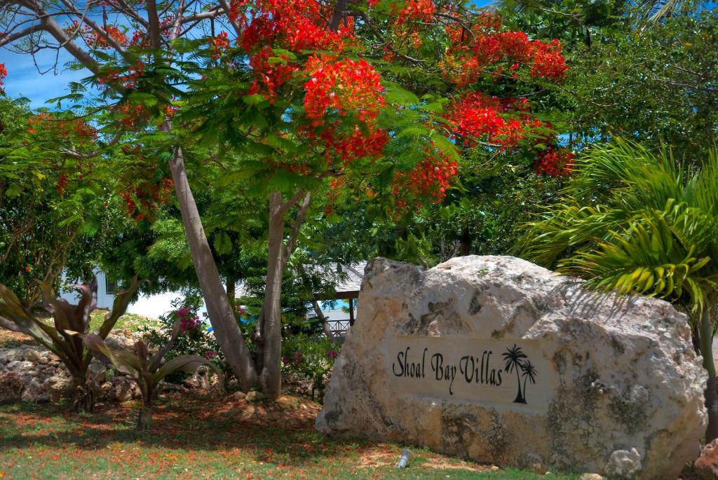 Shoal Bay Villas photo 2