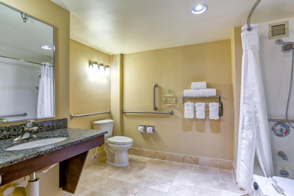 Holiday Inn Indianapolis North-Carmel, an IHG Hotel photo 2