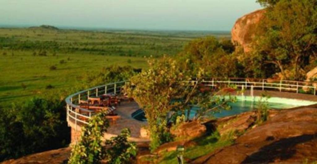 Lobo Wildlife Lodge photo 2