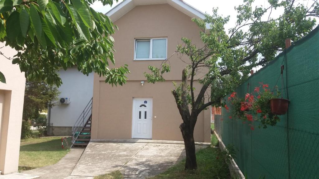 Guest House Zoran photo 1