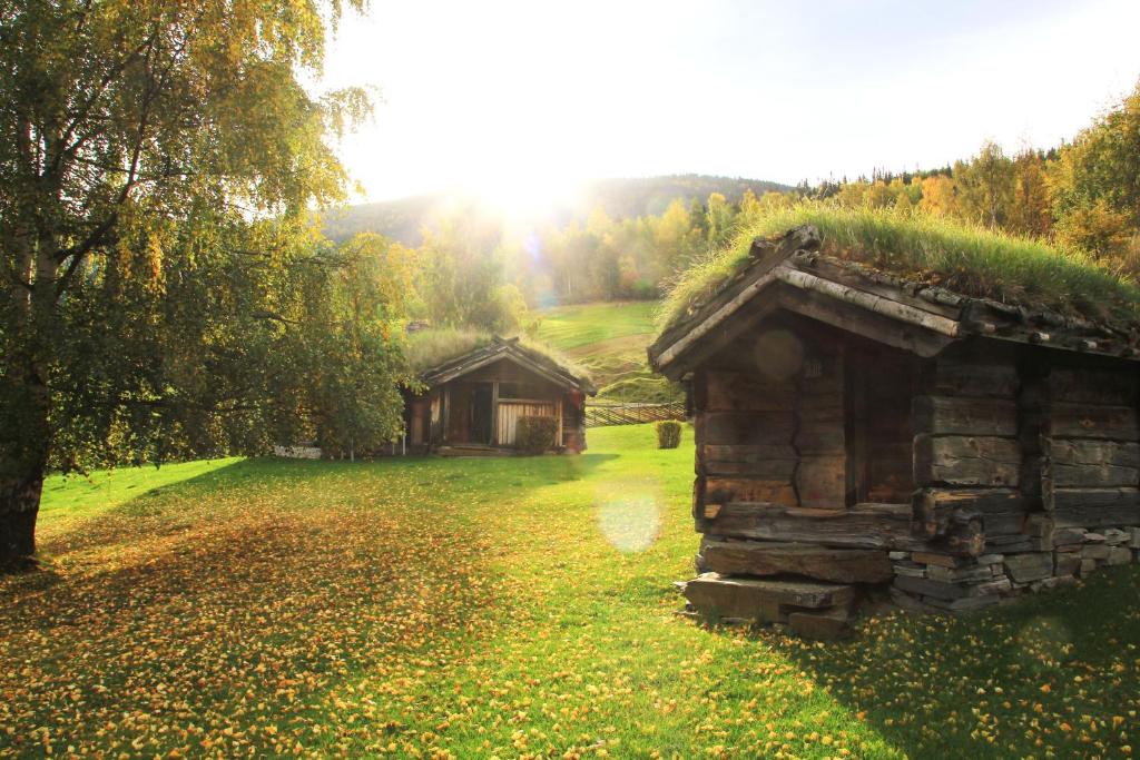 Sygard Storrvik photo 3