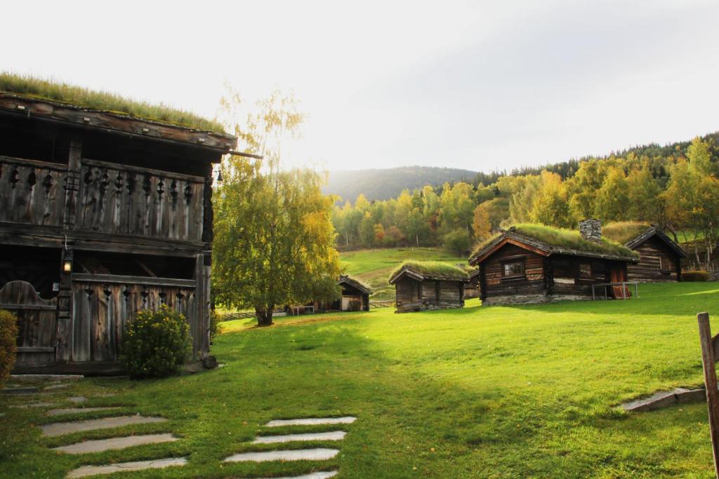 Sygard Storrvik photo 2