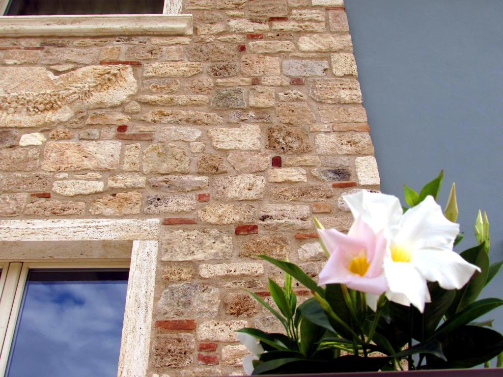 Residenza Case Pacifici photo 4