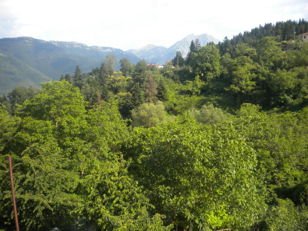 To Patriko tou Psillou photo 3