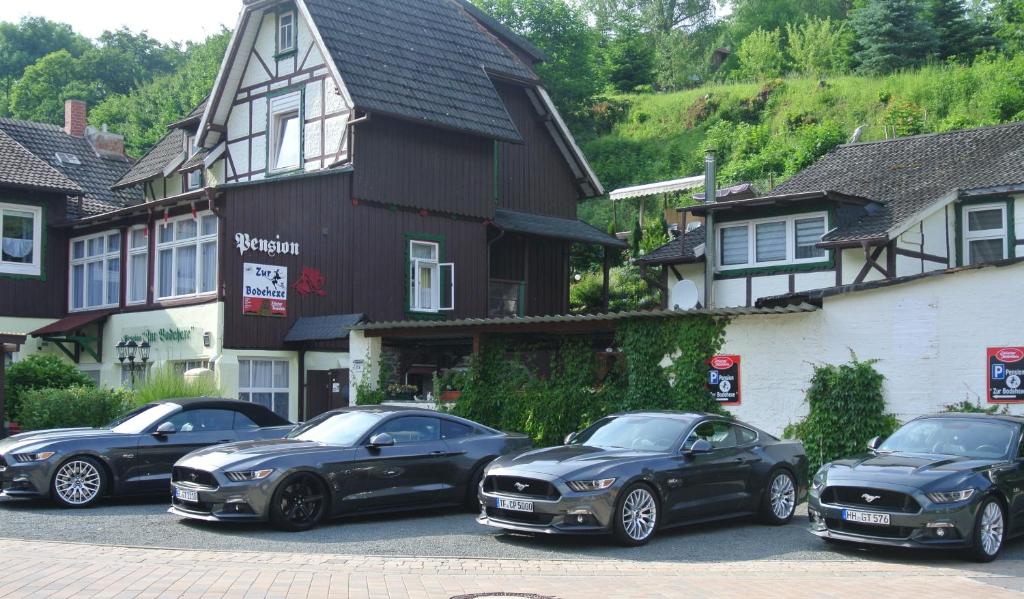 Ferienwohnungen Treseburg "Zur Bodehexe" photo 3
