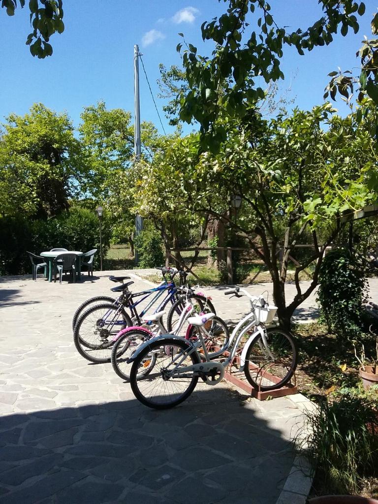 Country House L'Ippocastano photo 4