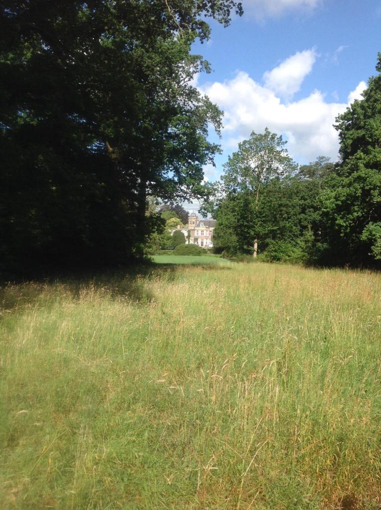 de zanderij photo 2