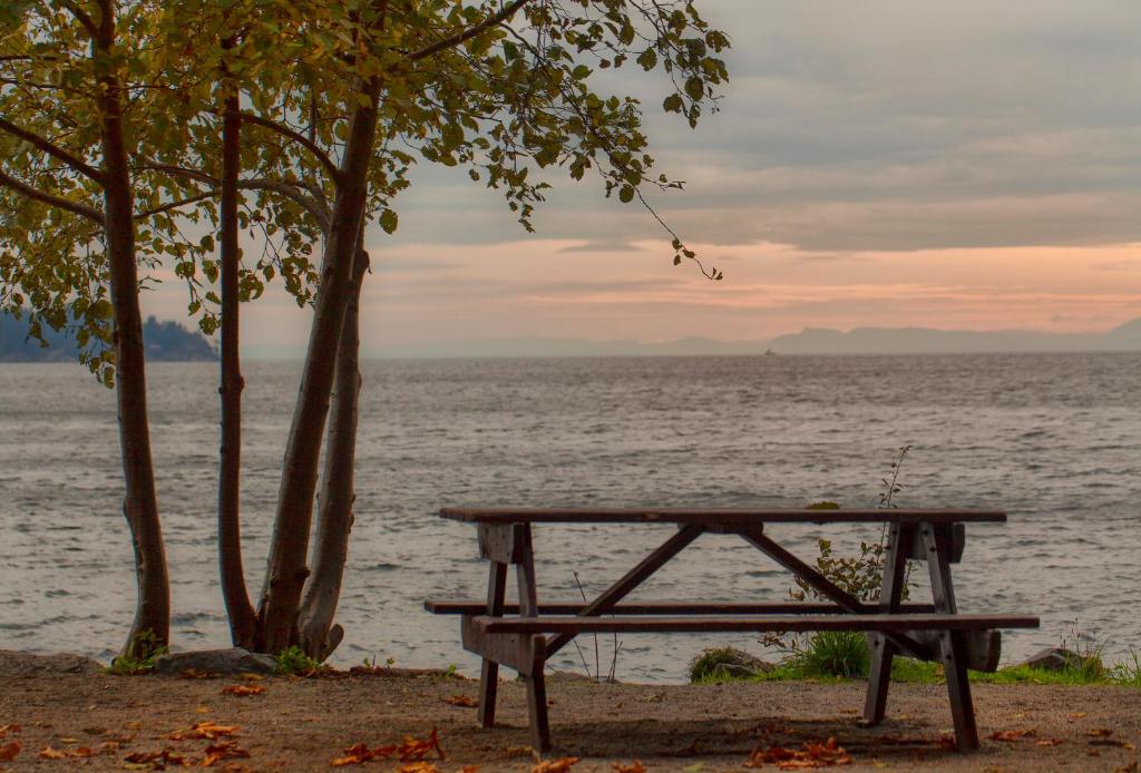Whytecliff Park place near ocean photo 1