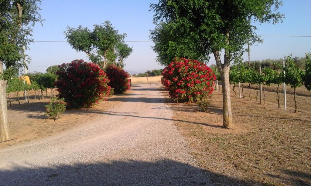 Monolocale con giardino photo 3