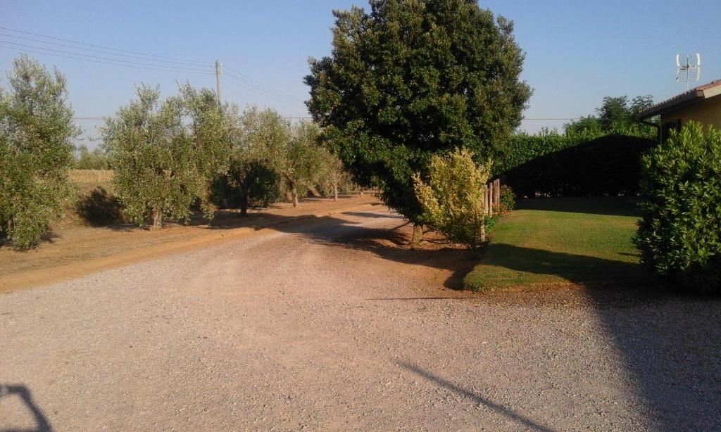 Monolocale con giardino photo 2