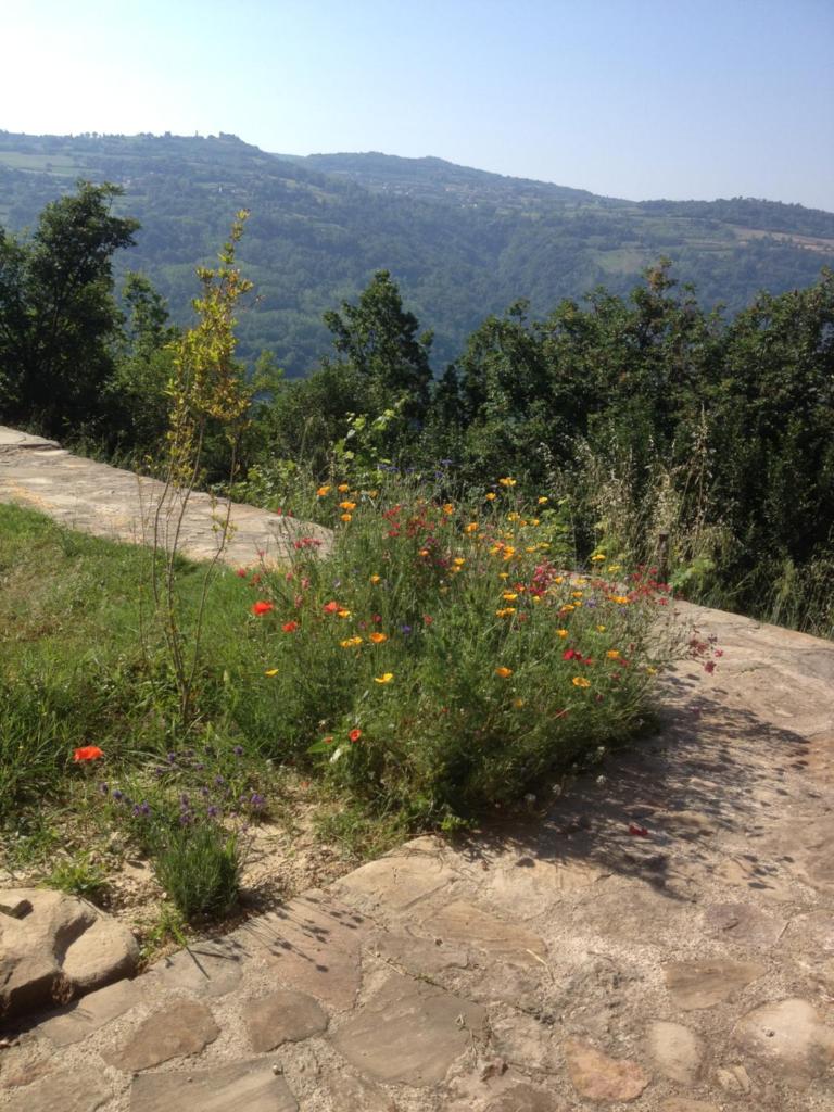 Da Pionzett photo 3
