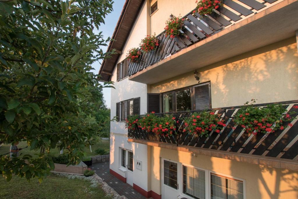 Apartments Božić photo 3