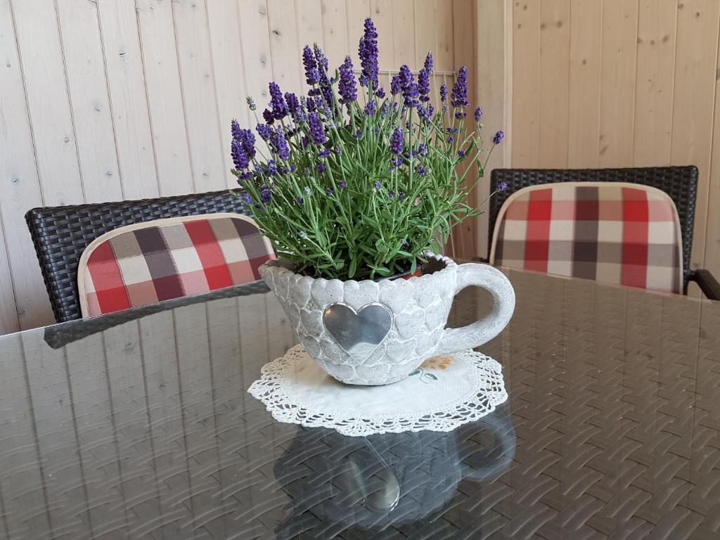 Apartmaji Susnik