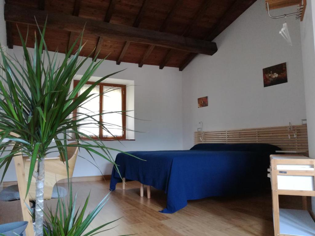 B & B Via di Mezzo photo 2