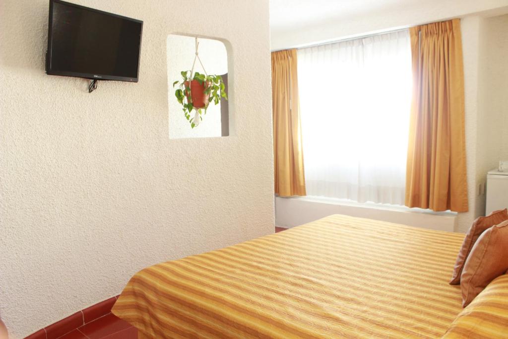 Сьюит (Люкс), Hotel Antillano