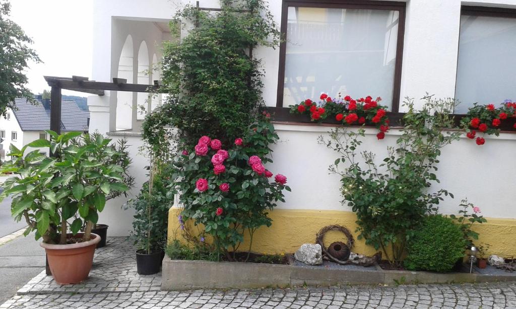 Ferienwohnung "Am Eisenbühl" photo 4