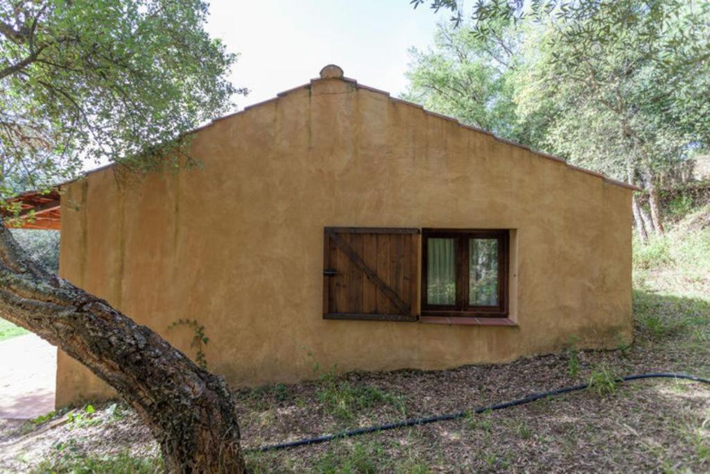 Finca Montemateo photo 4