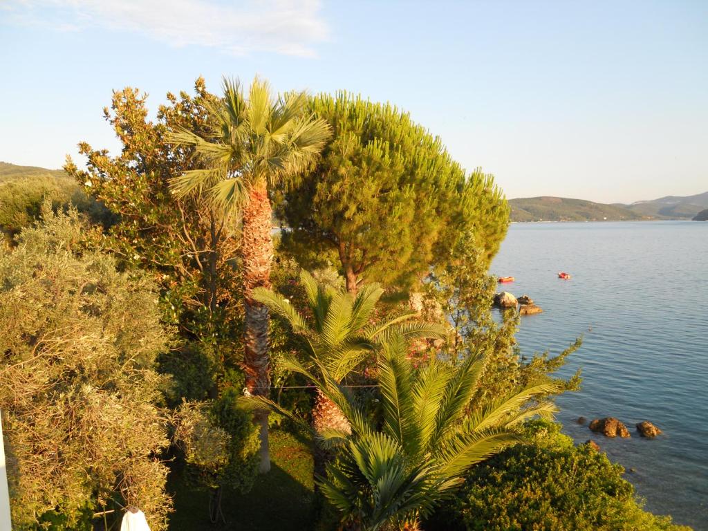 Villa Electra photo 3
