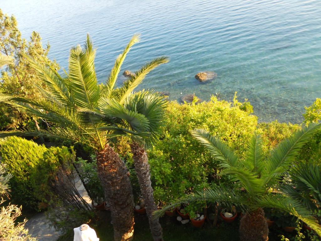 Villa Electra photo 1