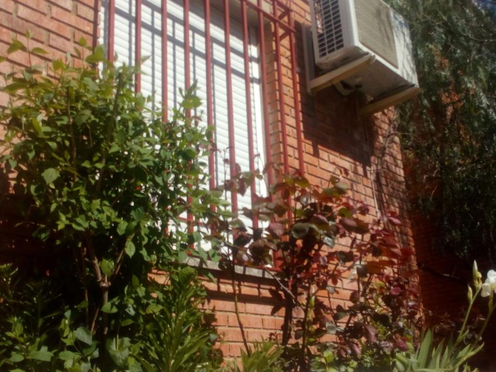 Casa Pinos photo 3