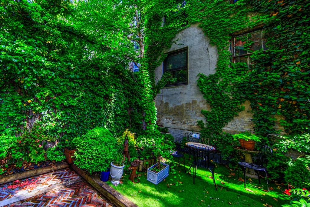 Апартаменты (Апартаменты Делюкс), Chelsea Pines Inn