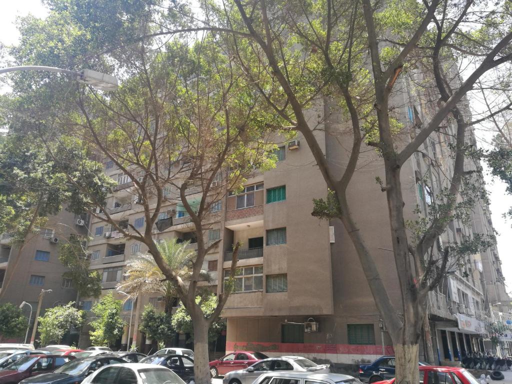 Three-Bedroom Apartment in Mohandseen