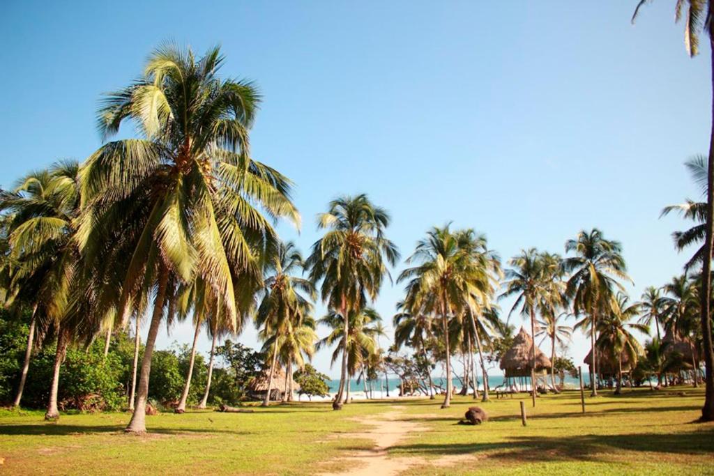 Ecolodge Playa Brava Teyumakke photo 3
