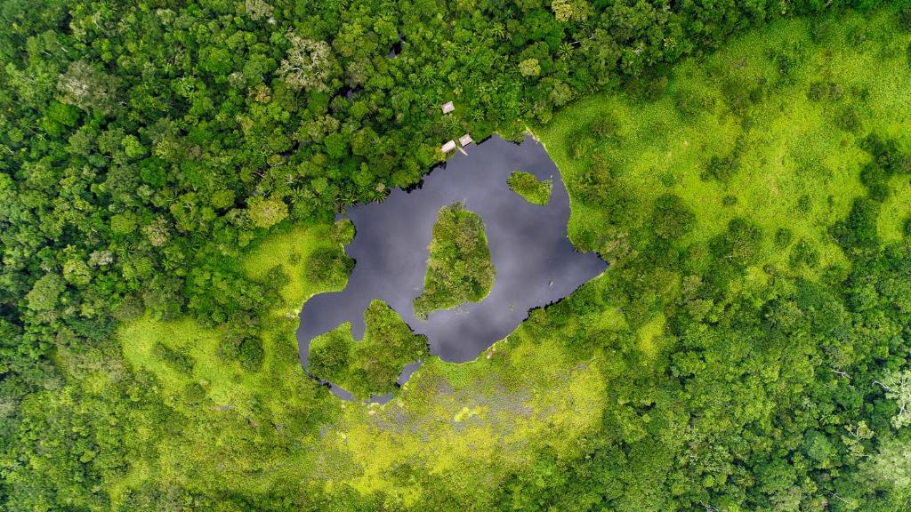 Ecoamazonia Lodge photo 4