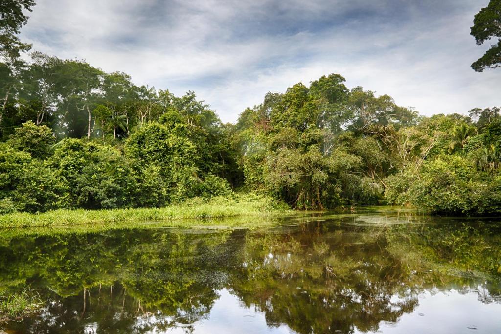 Ecoamazonia Lodge photo 2