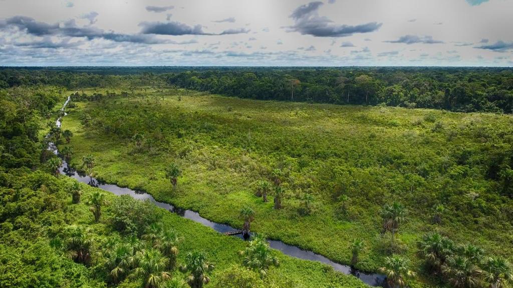 Ecoamazonia Lodge photo 1