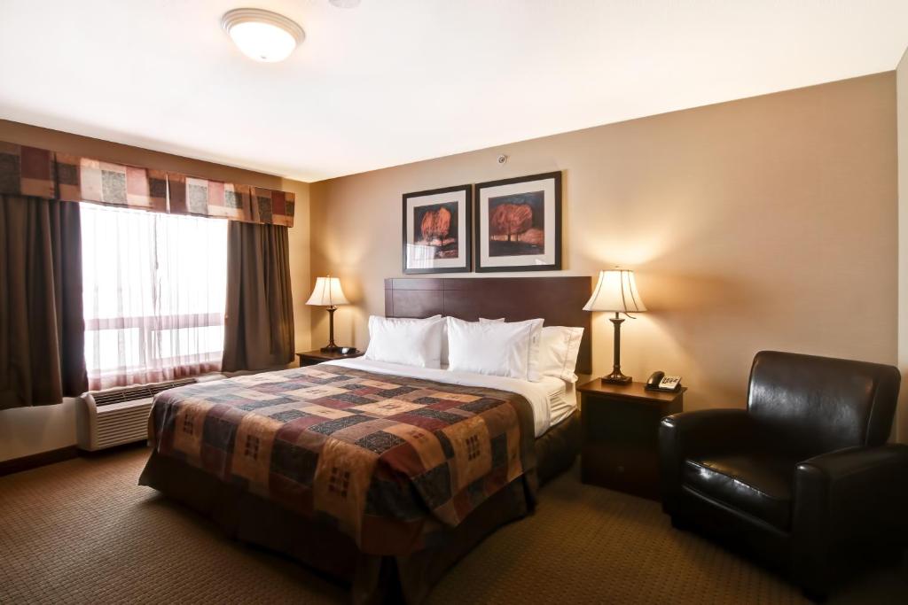 Canalta Camrose photo 4