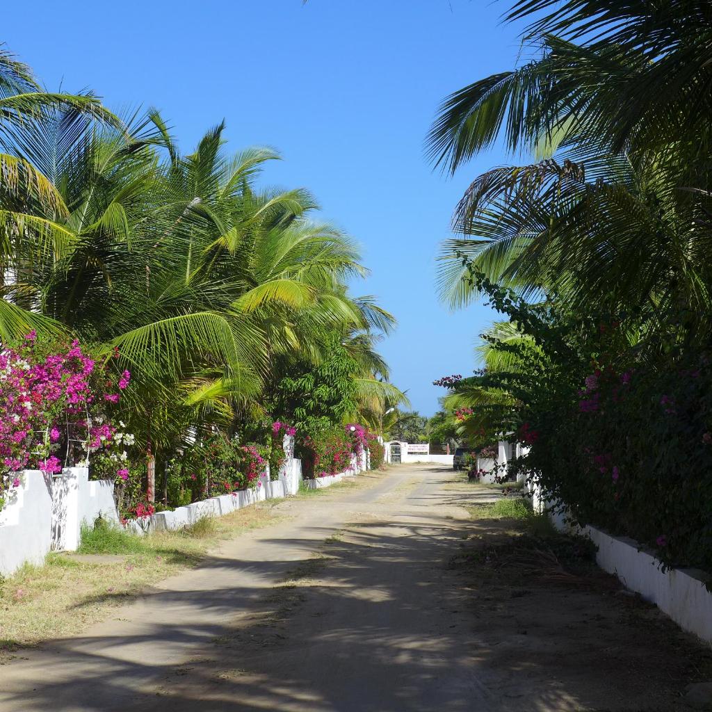 Downtown Malindi Apartment photo 3