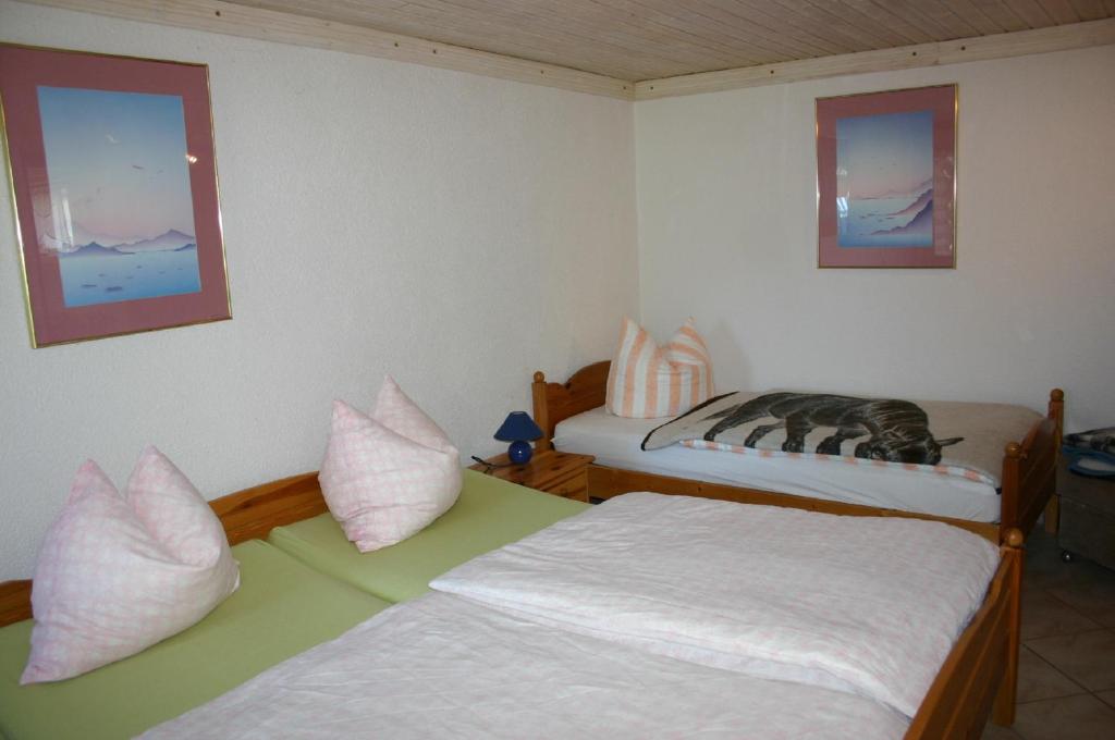 Boddenbrise photo 3