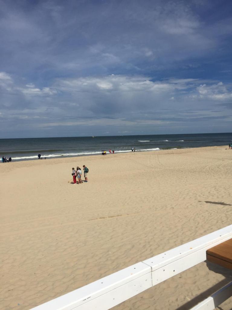 Strandleven photo 1